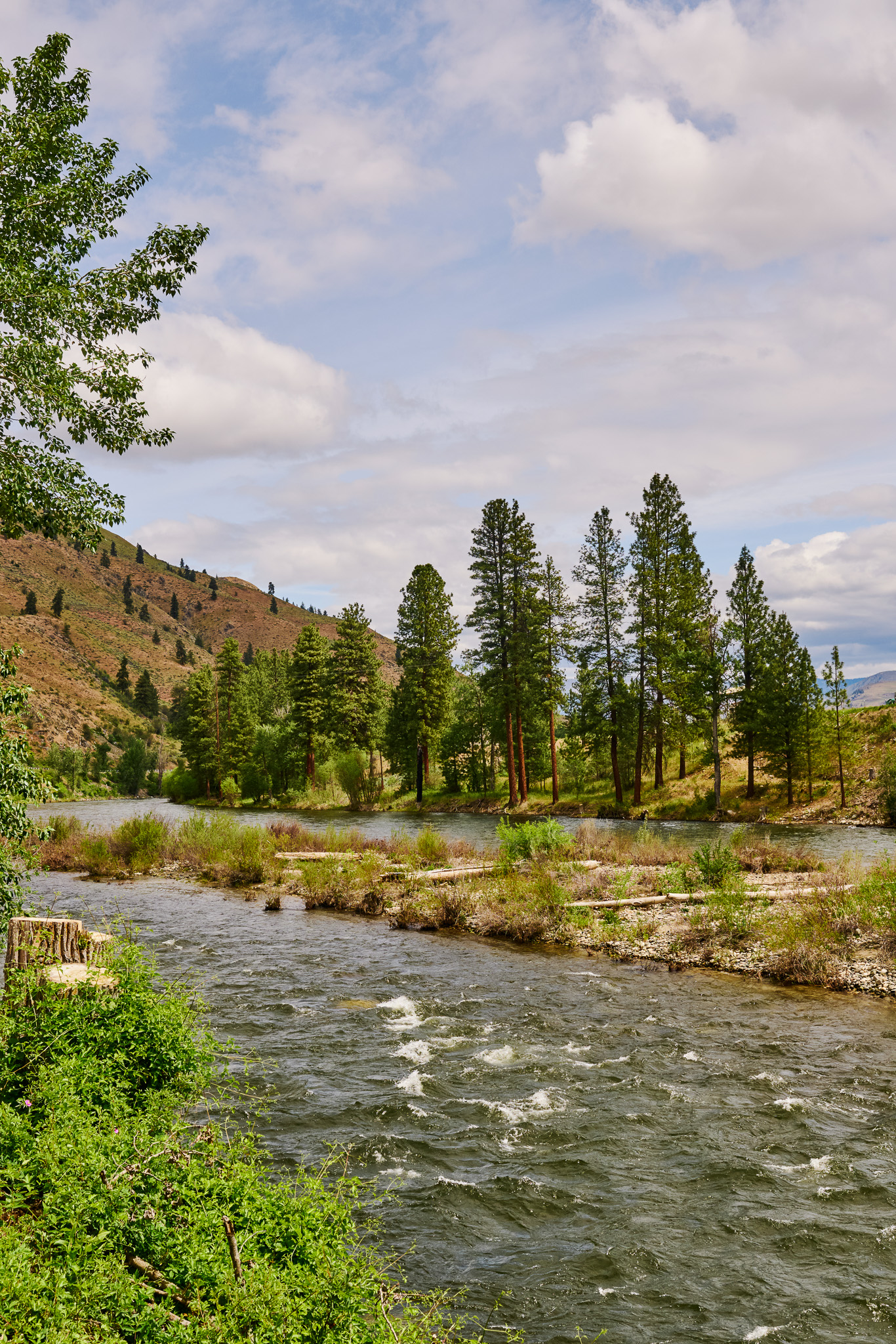 The Methow River below the house