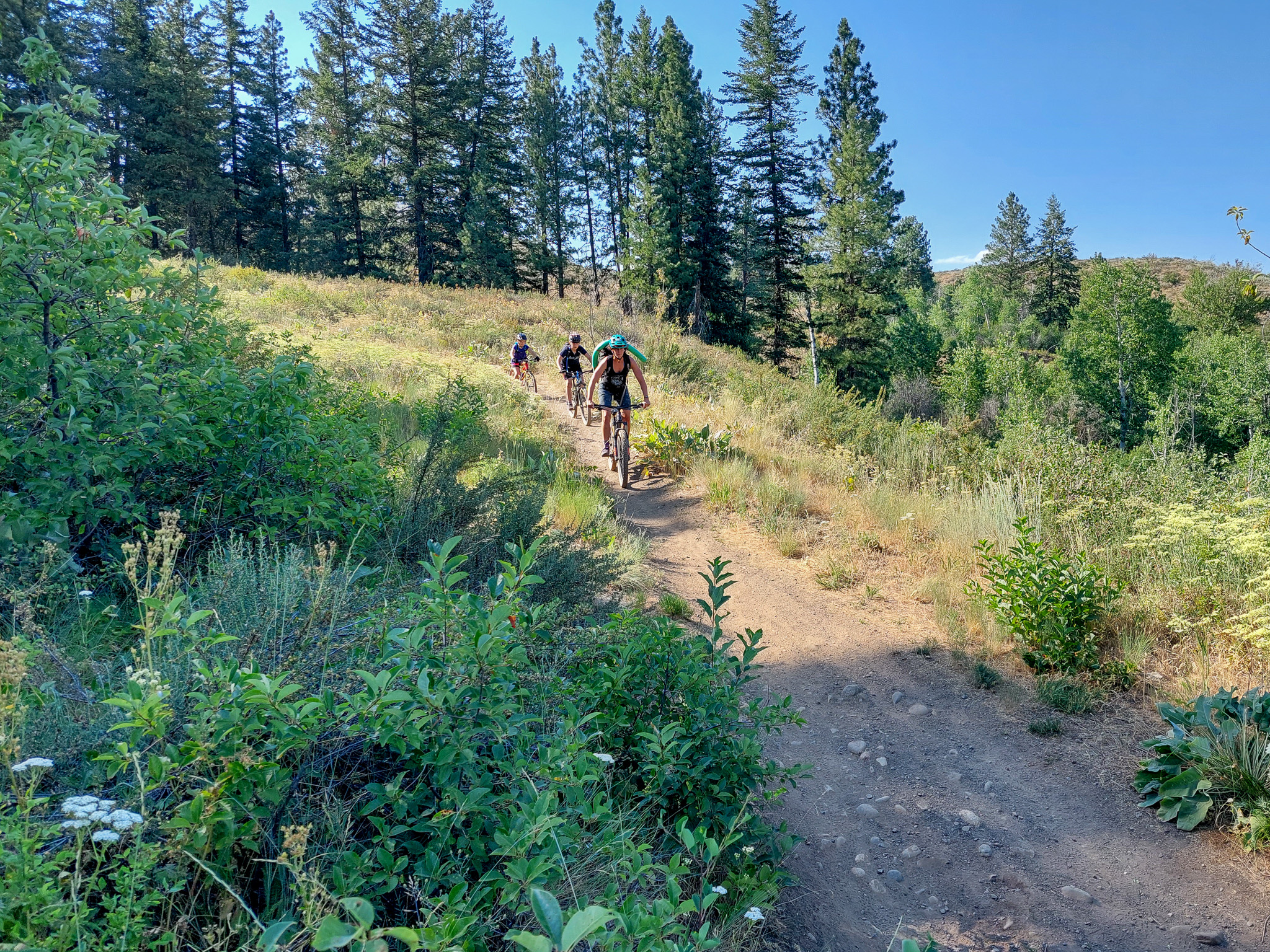 Mountain bikers on a Methow valley trail